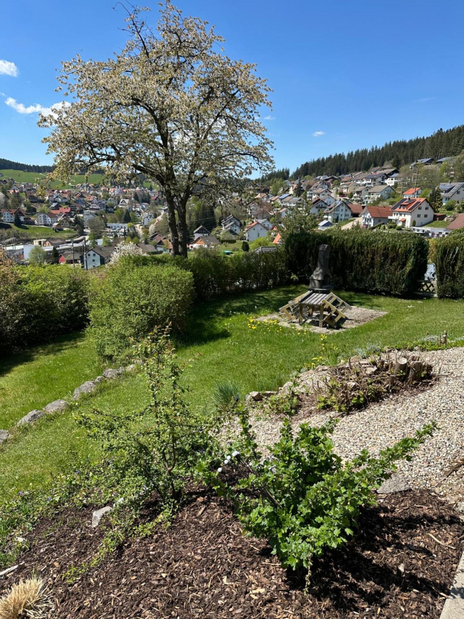 Sonneck Schonach Apartment Schonach im Schwarzwald Bagian luar foto